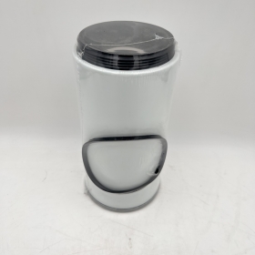 800162635 Fuel filter High quality fuel filter element 11110668 P505957