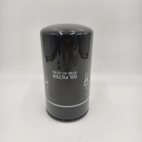 24719014B wholesale oil filter 40050800082 65055105015 65055105021 65055105028