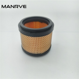 Air Filter 4120008910